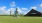a statue in a grassy field
