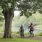 two people biking near lake