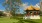 a pagoda in a park